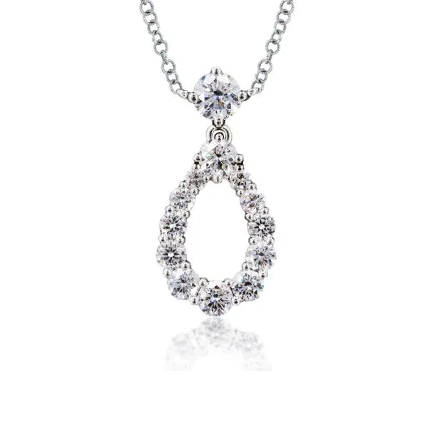 Harry winston hot sale loop necklace